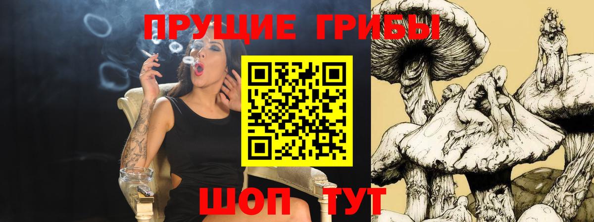 Сургут  Псилоцибиновые грибы Cubensis  Вход с VPN  Галлюциногенные грибы ЛСД 